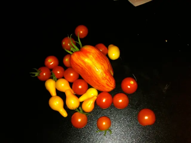 Exploration of 1 Reel Fruits Slot Game