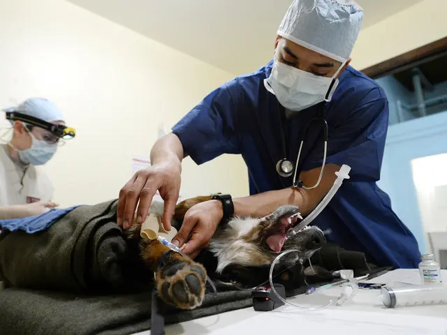 Businessman From Offenburg who provided masks during the pandemic, Jens Spahn, faces criticism over...